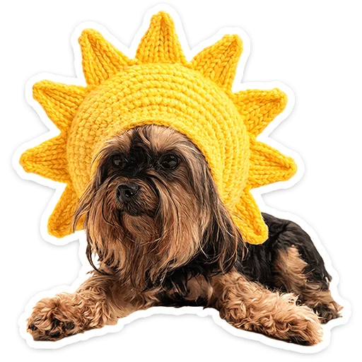 Pups Telegram Sticker #19 - Pups #19