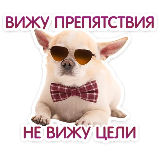 Pups Telegram Sticker #24 - Pups #24