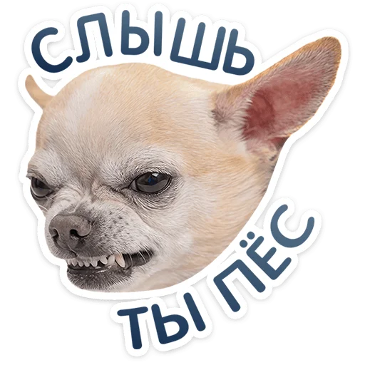 Pups Telegram Sticker #25 - Pups #25