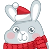 Rabbit Ny