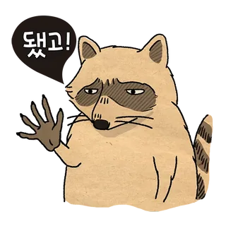 Raccoona