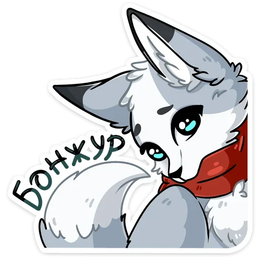 Grey Fox Rainy