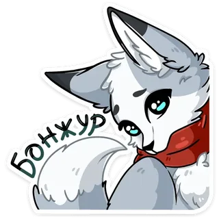 Grey Fox Rainy