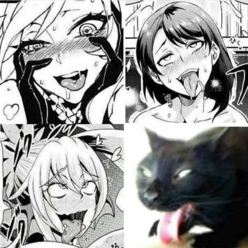 Win Win Cute Anime Reactions & Expressions Stickers Telegram Sticker #19 - Win Win Cute Anime Reactions & Expressions Stickers #19