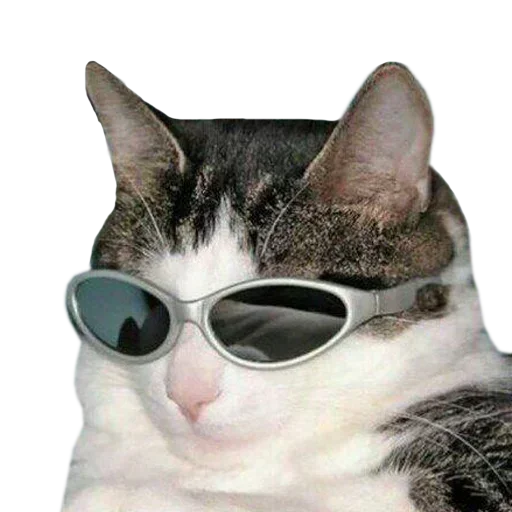 Rhatxgjafr Stickerevobot Telegram Sticker #13 - Rhatxgjafr Stickerevobot #13