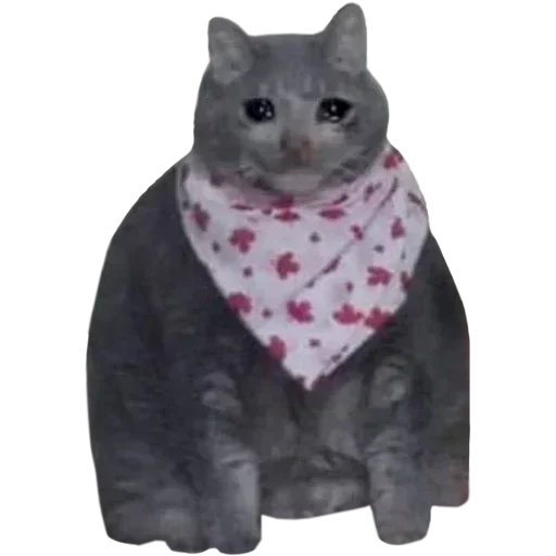 Rhatxgjafr Stickerevobot Telegram Sticker #14 - Rhatxgjafr Stickerevobot #14