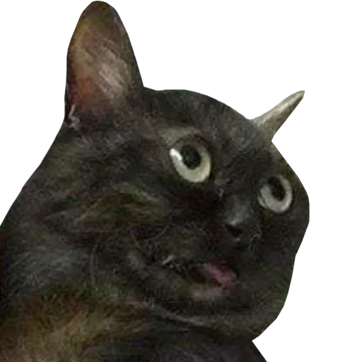 Rhatxgjafr Stickerevobot Telegram Sticker #16 - Rhatxgjafr Stickerevobot #16
