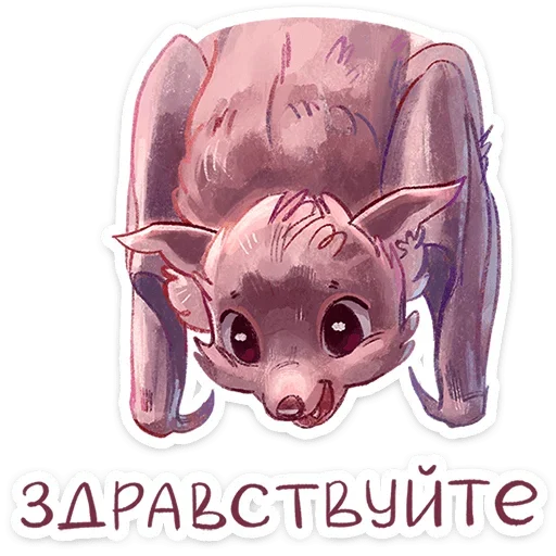 Rubin Telegram Sticker #3 - Rubin #3