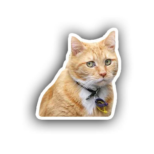 Rucatb48be2 Stickerevobot Telegram Sticker #14 - Rucatb48be2 Stickerevobot #14