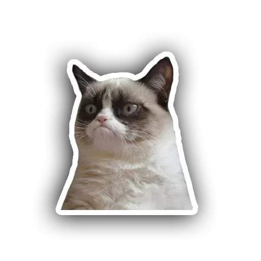 Rucatb48be2 Stickerevobot Telegram Sticker #17 - Rucatb48be2 Stickerevobot #17