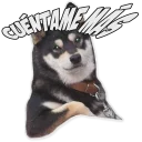 Rumanismos Stickers