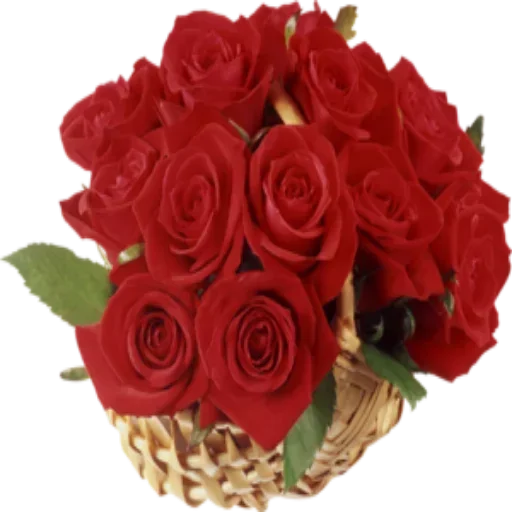 Red Rose Basket