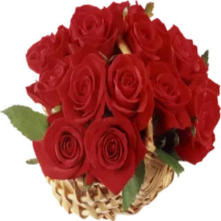 Red Rose Basket