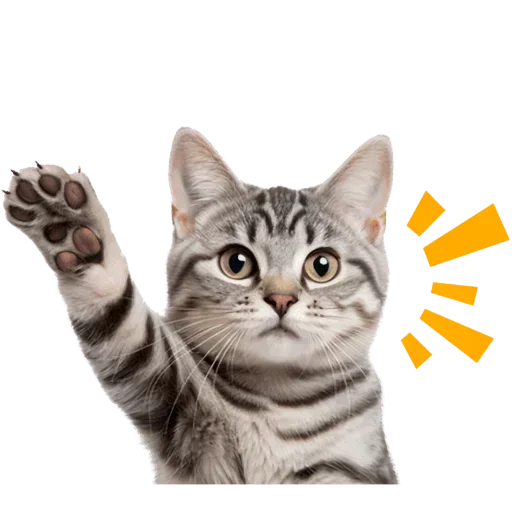 Set 18978df421 Stickerevobot Telegram Sticker #1 - Set 18978df421 Stickerevobot #1