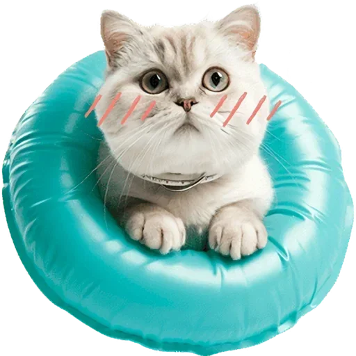 Set 18978df421 Stickerevobot Telegram Sticker #6 - Set 18978df421 Stickerevobot #6