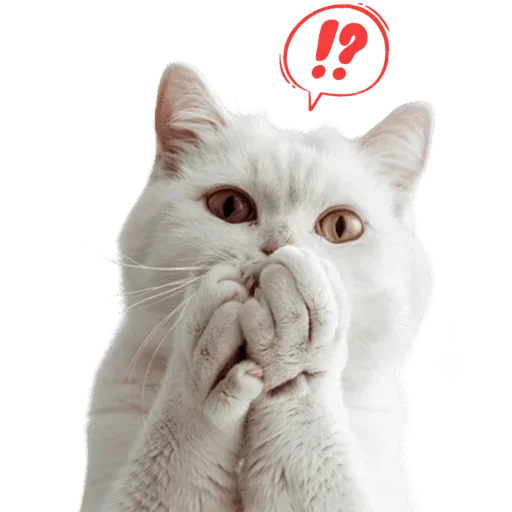 Set 18978df421 Stickerevobot Telegram Sticker #9 - Set 18978df421 Stickerevobot #9