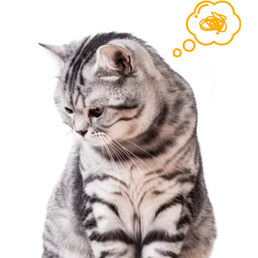 Set 18978df421 Stickerevobot Telegram Sticker #11 - Set 18978df421 Stickerevobot #11
