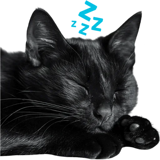 Set 18978df421 Stickerevobot Telegram Sticker #13 - Set 18978df421 Stickerevobot #13