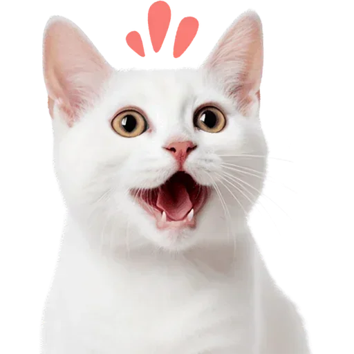 Set 18978df421 Stickerevobot Telegram Sticker #19 - Set 18978df421 Stickerevobot #19