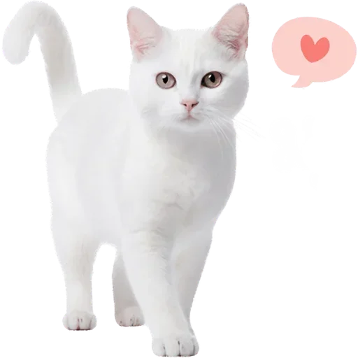 Set 18978df421 Stickerevobot Telegram Sticker #25 - Set 18978df421 Stickerevobot #25