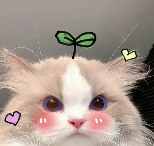 Set 23573d95e5 Stickerevobot Telegram Sticker #16 - Set 23573d95e5 Stickerevobot #16