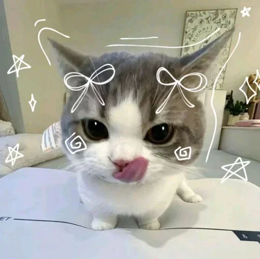 Set 23573d95e5 Stickerevobot Telegram Sticker #17 - Set 23573d95e5 Stickerevobot #17