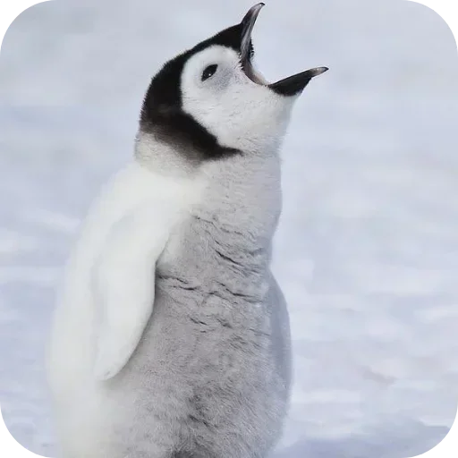 Set 238d00fce Stickerevobot Telegram Sticker #11 - Set 238d00fce Stickerevobot #11
