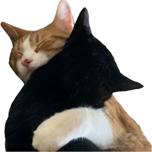 Set 4683ca95ec Stickerevobot Telegram Sticker #17 - Set 4683ca95ec Stickerevobot #17
