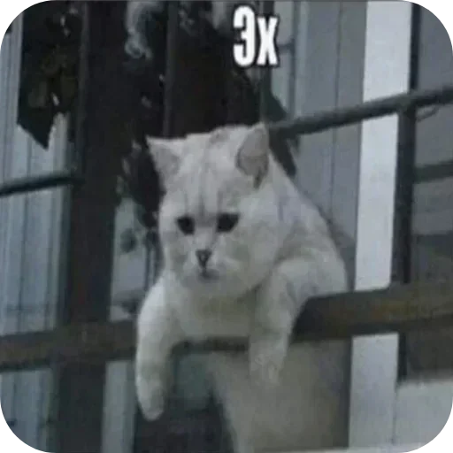 Set 6579931e1d Telegram Sticker #18 - Set 6579931e1d #18