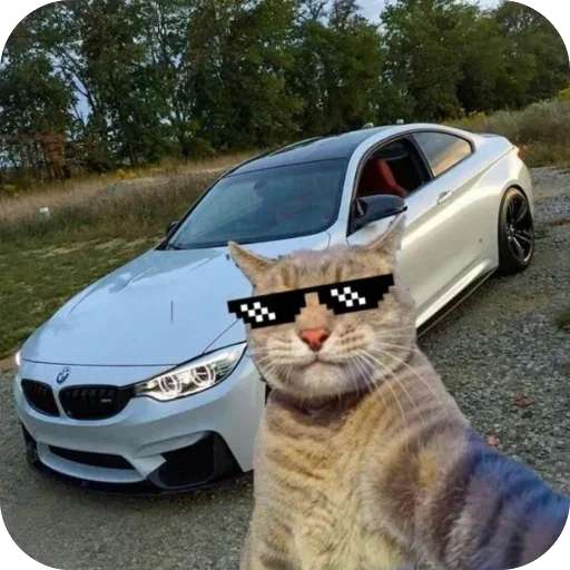 Set 846 Telegram Sticker #7 - Set 846 #7