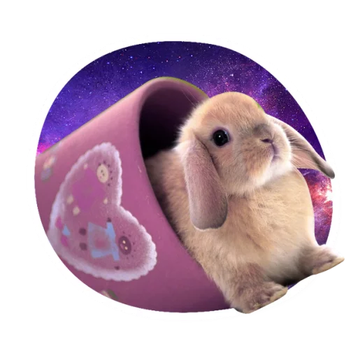 Spacerabbits Telegram Sticker #5 - Spacerabbits #5