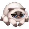 Spidey Cat VK Emoji