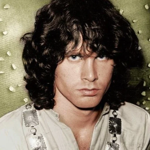 The Doors Telegram Sticker #13 - The Doors #13