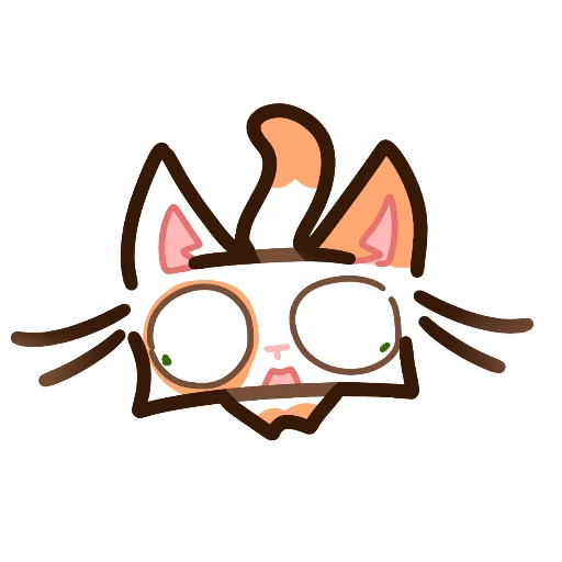 Kotek Cat