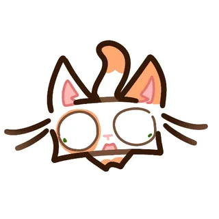 Kotek Cat