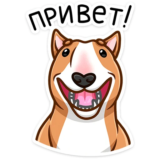 Ty vk