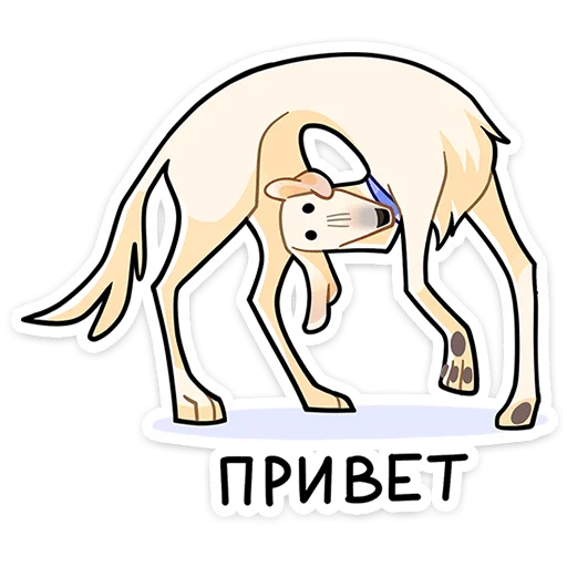 Whitedog