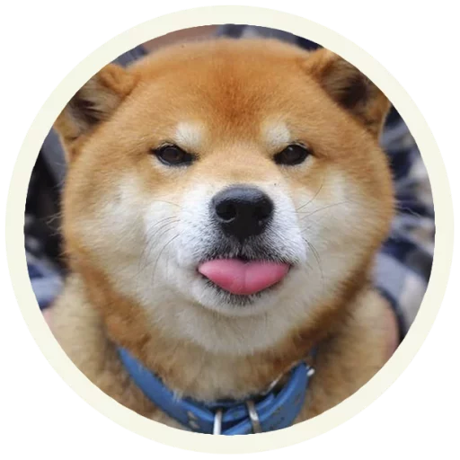Wowakitainu