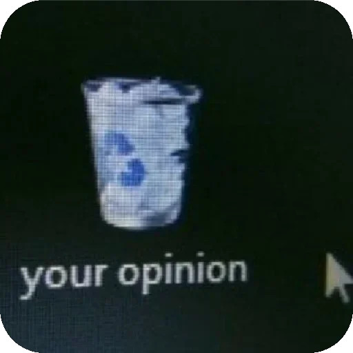 Opinion Recycle Bin