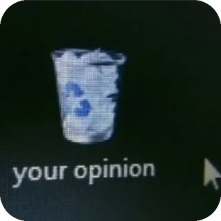 Opinion Recycle Bin