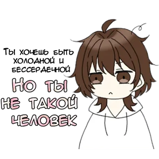 Wise Zumiko-chan