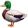 🦆