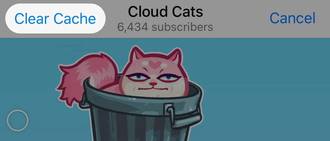 Clear Cache button in a channel.