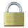 🔒