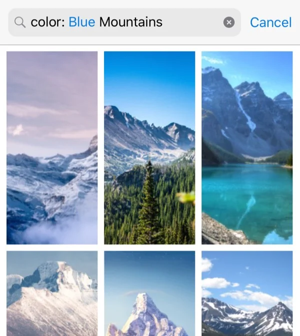 Background Search Results